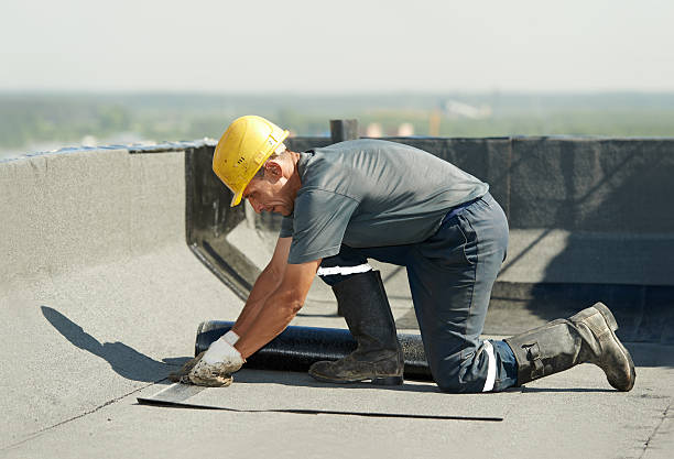 Best Insulation for New Construction  in Fall River, WI
